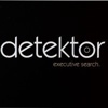 Detektor Executive Search Logo