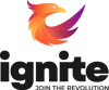 Ignite Digital Marketing LLC Logo