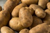 Netherlands Potato Suppliers Logo