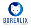Borealix Logo