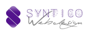 Syntico GmbH Logo