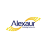 ALEXAUR TECHNOLGY SERVICES Logo