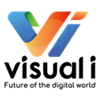 Visual i Logo