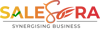 Salesera Private Limited Logo