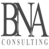 BNA Consulting Services Ltd Logo