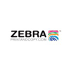 Zebra Print & Copy Logo