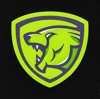 Invincible Lion Logo