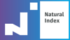 Natural Index Logo
