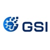 Global Solutions International LLC Logo