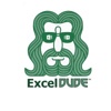 ExcelDude IT Services LTD. Logo