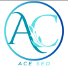 Ace Seo Boise Logo