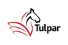 Tulpar Global Taxation Logo