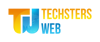 Techsters Web Pvt. Ltd. Logo