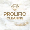 Prolific cleaning Logo