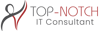 Topnotch IT Consultant Logo