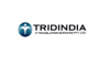 Tridindia Logo