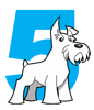 Five Dog Solutions Logo