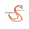 Cygnus Consulting Logo