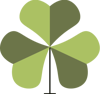 Shamrock Designs Logo