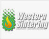 Western Sintering Co Inc Logo