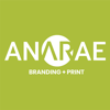 Anarae Design Group Logo