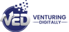 Venturing Digitally (P) Ltd. Logo
