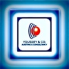 Youssry & Co. Auditing & Consultancy Logo