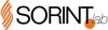 SORINT.lab Logo