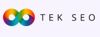 TEK SEO Logo