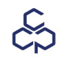 Castik Capital Logo