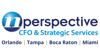 Nperspective CFO & Strategic Services Logo