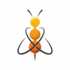 Innovation Bee P.C. Logo