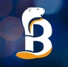 Techno Beavers Logo