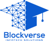 Blockverse Infotech Solutions Logo