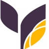 Lotus Amity Logo