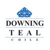 DowningTeal Chile Logo