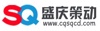 Chongqing Shengqing Cedong Network Technology Co., Ltd. Logo