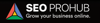 SEO PROHUB Logo