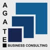 Agate Business Consulting Logo