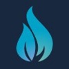 Fire Capital Management Logo