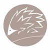 Duval & Stachenfeld Logo