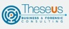 Theseus Dottori Commercialisti Associati Logo
