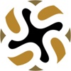 Spherical Strategies Logo