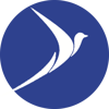 Bluenest Logo
