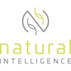 Natural Intelligence Systems Logo