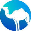 Camel Digital Logo