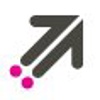 Digital Evolutions Logo