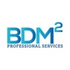 BDM Squared Professional Services Logo