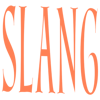 Slang Software Logo