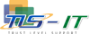 TLS IT Solutions DMCC Logo